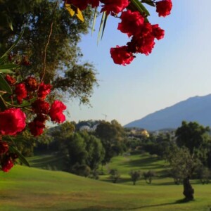 los-naranjos-golf-hole-7-3-1024x597-1